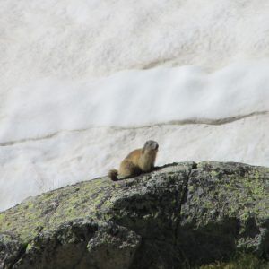 Embalse de Cavallers – Ruta de las Marmotas