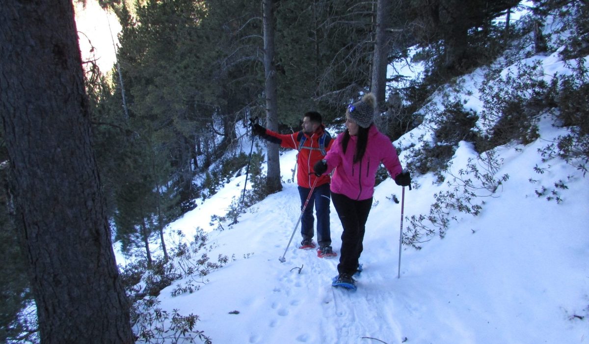 Raquetas de Nieve - Vall de Sant Martí